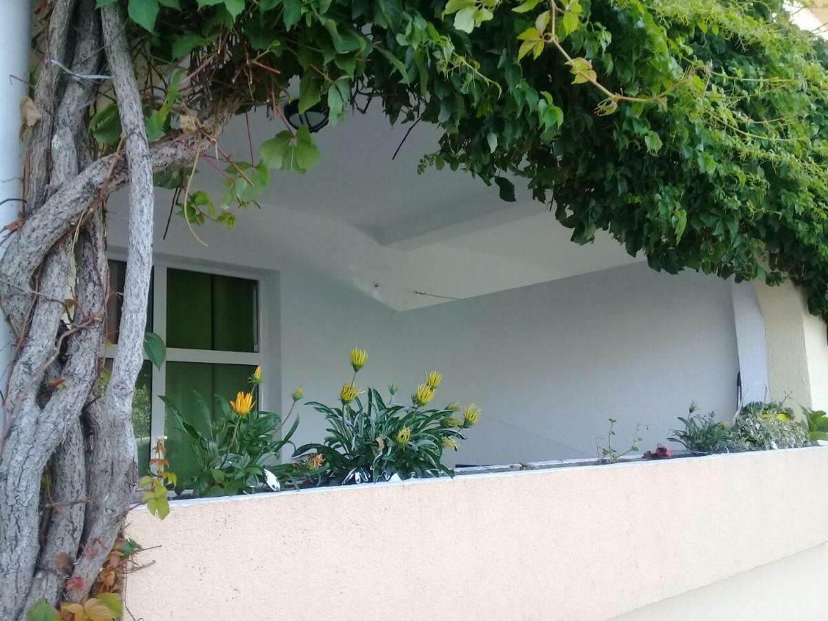 Montenegrina Apartment Μπούντβα Εξωτερικό φωτογραφία